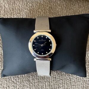 Skagen Silver Watch with Black Dial